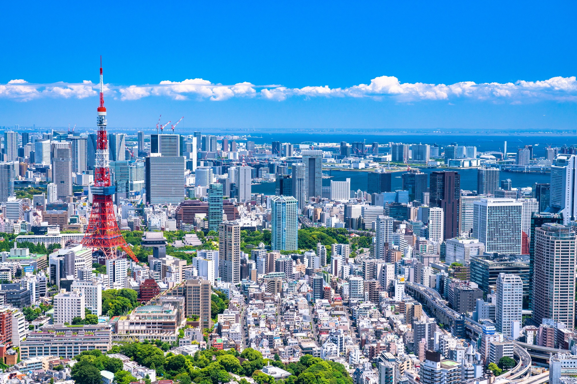 Japanese Government Bonds: The Next Wave of Opportunity