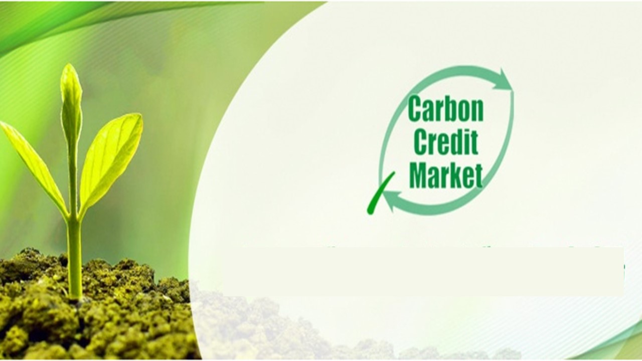 Establishment of the Carbon Credit Market (Publication of Outline and Public Comments)